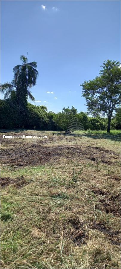 Fazenda à venda, 1000m² - Foto 1