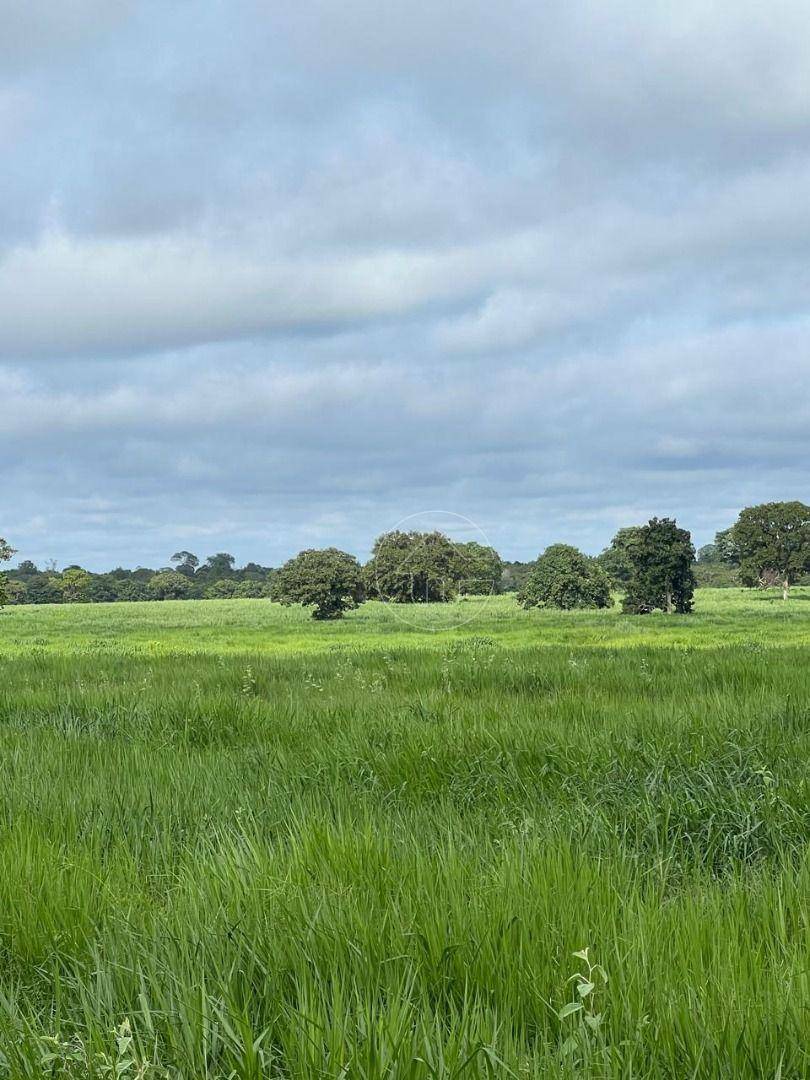 Fazenda à venda, 42910000M2 - Foto 3