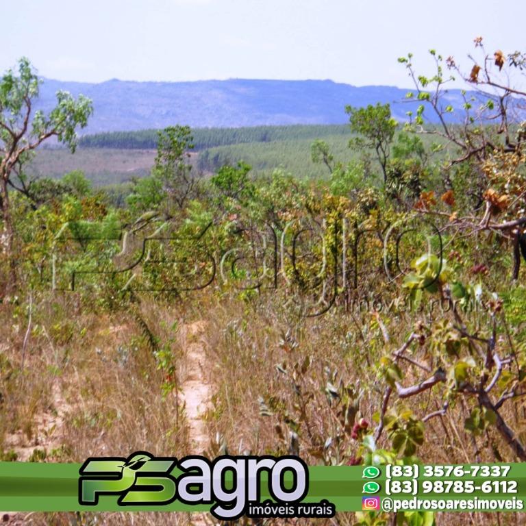 Fazenda à venda, 18300000M2 - Foto 7