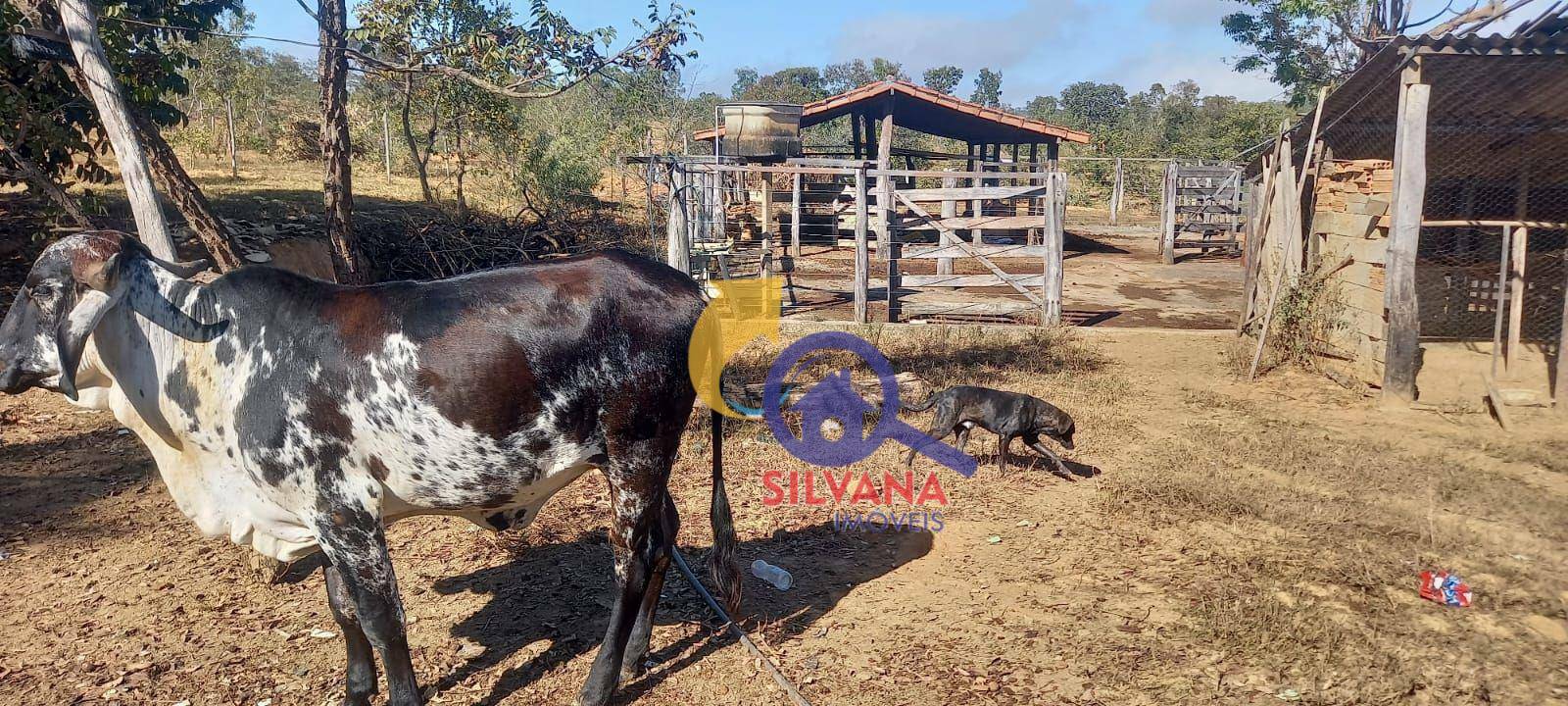 Fazenda à venda com 3 quartos, 389000M2 - Foto 15