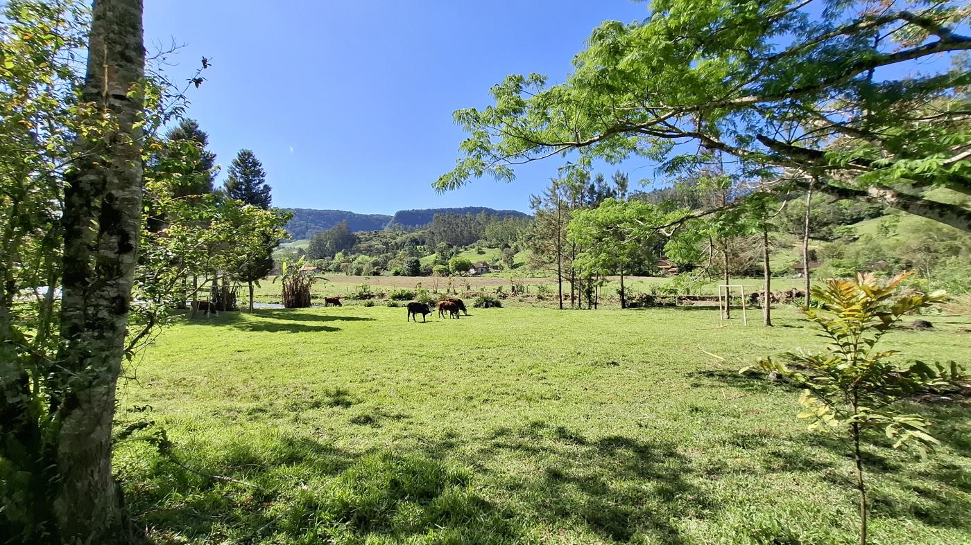 Fazenda à venda com 2 quartos, 8000m² - Foto 5