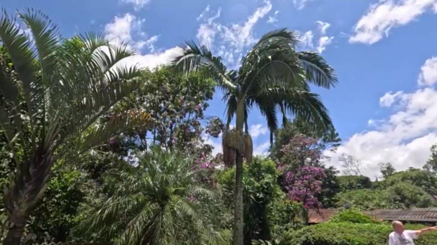 Sítio à venda com 8 quartos, 20000m² - Foto 35