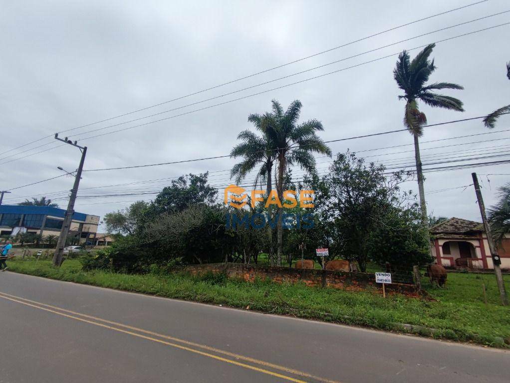 Terreno, 2 hectares - Foto 3