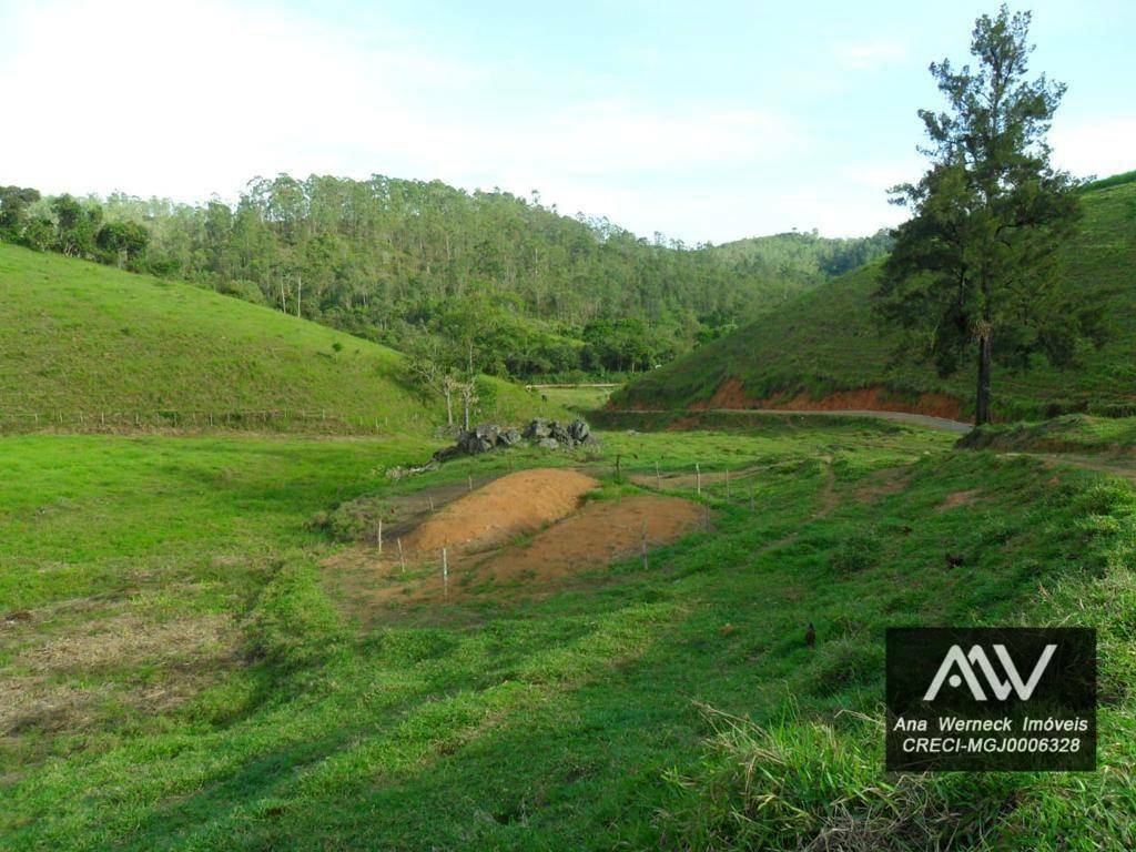 Chácara à venda com 5 quartos, 170000M2 - Foto 6