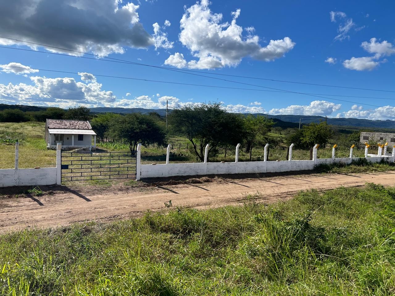 Sítio à venda com 2 quartos, 5000m² - Foto 4