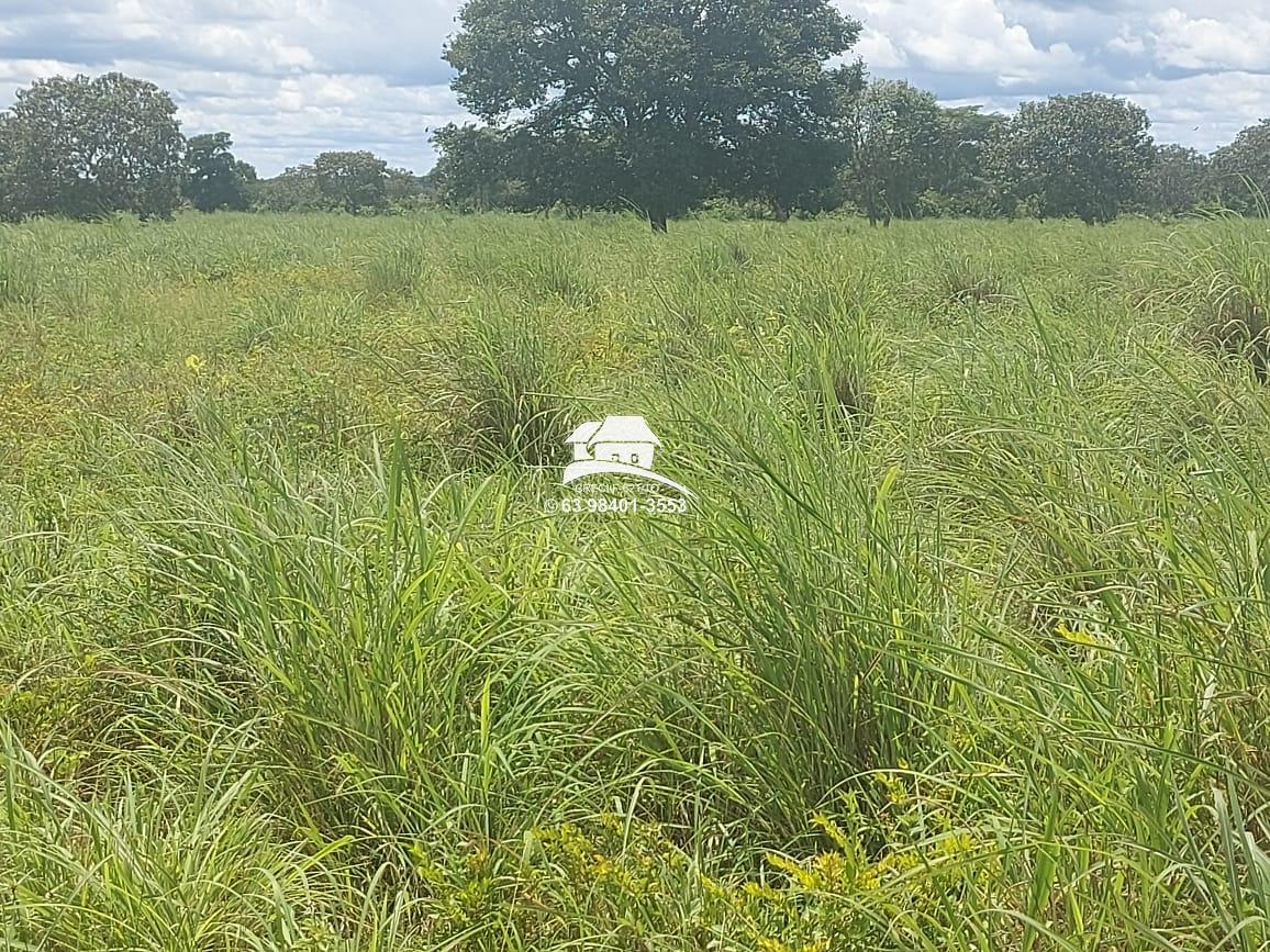 Fazenda à venda, 1m² - Foto 44