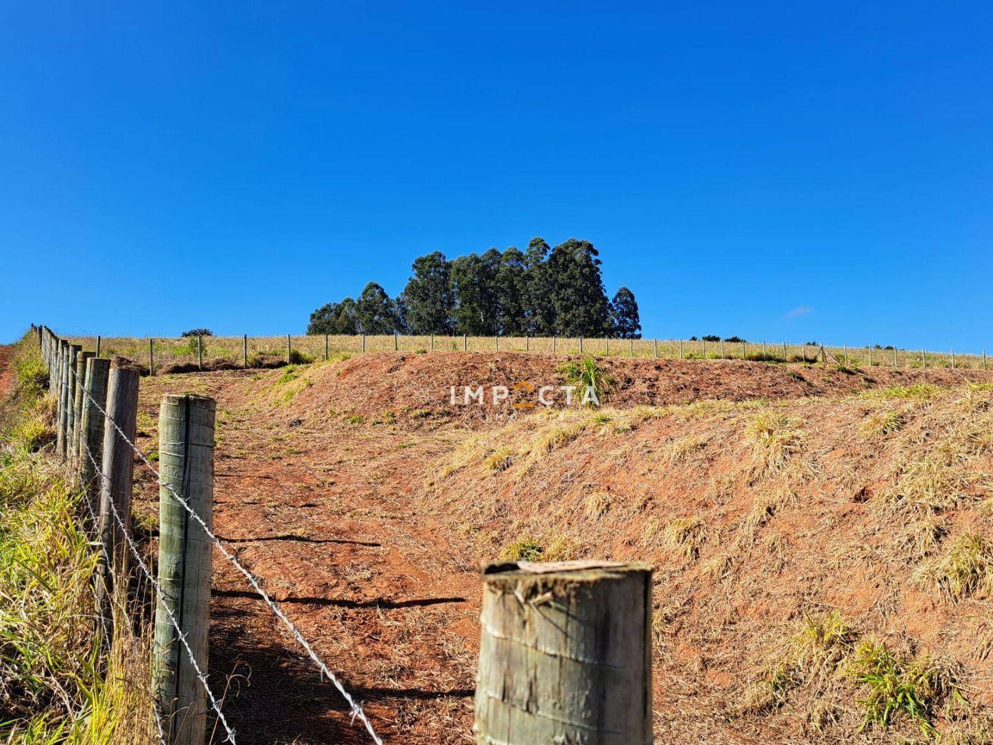 Terreno à venda, 2000M2 - Foto 12