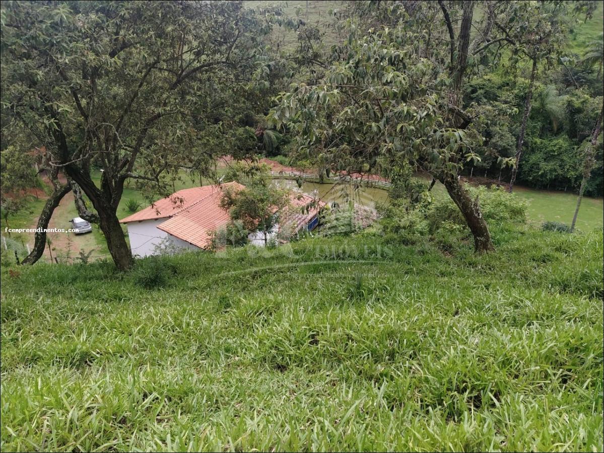 Fazenda à venda com 6 quartos, 53000m² - Foto 5