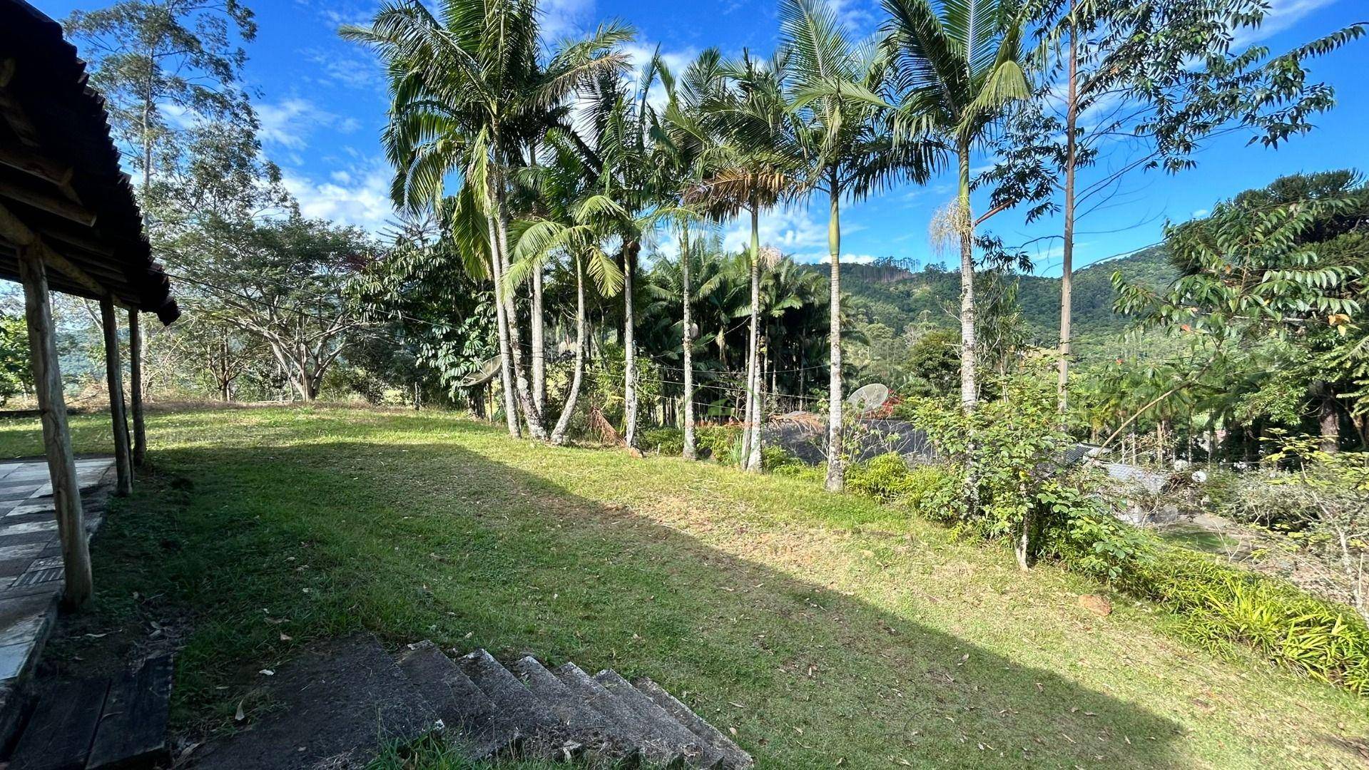 Sítio, 3 hectares - Foto 35