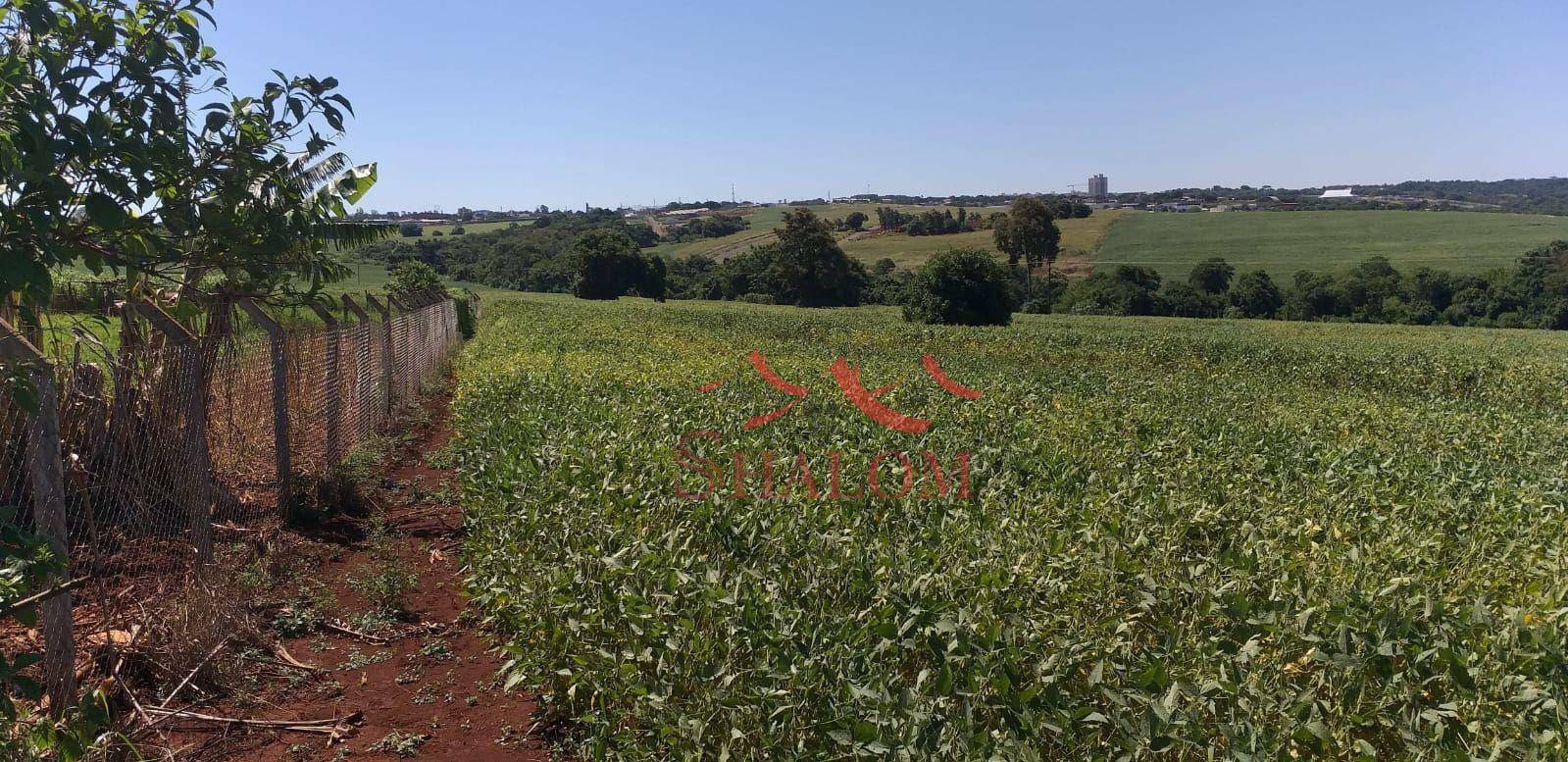 Fazenda à venda, 58080M2 - Foto 4