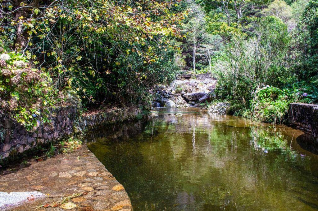 Fazenda à venda com 5 quartos, 10500000M2 - Foto 39