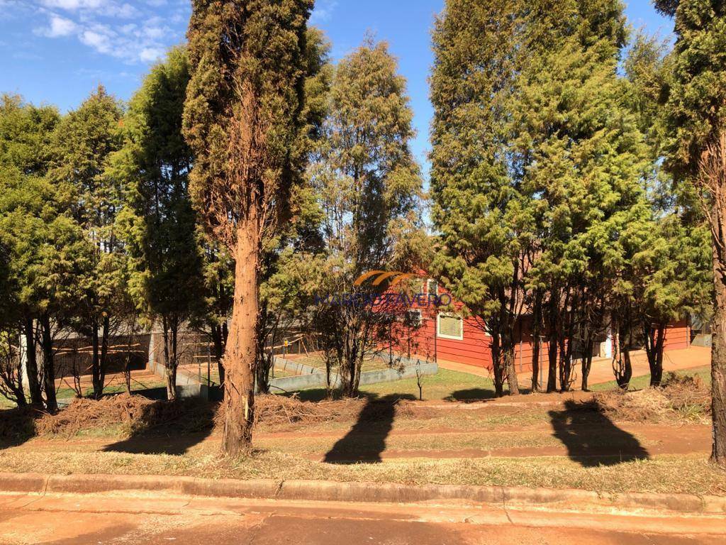 Haras e Área Rural Padrão à venda, 193600M2 - Foto 4