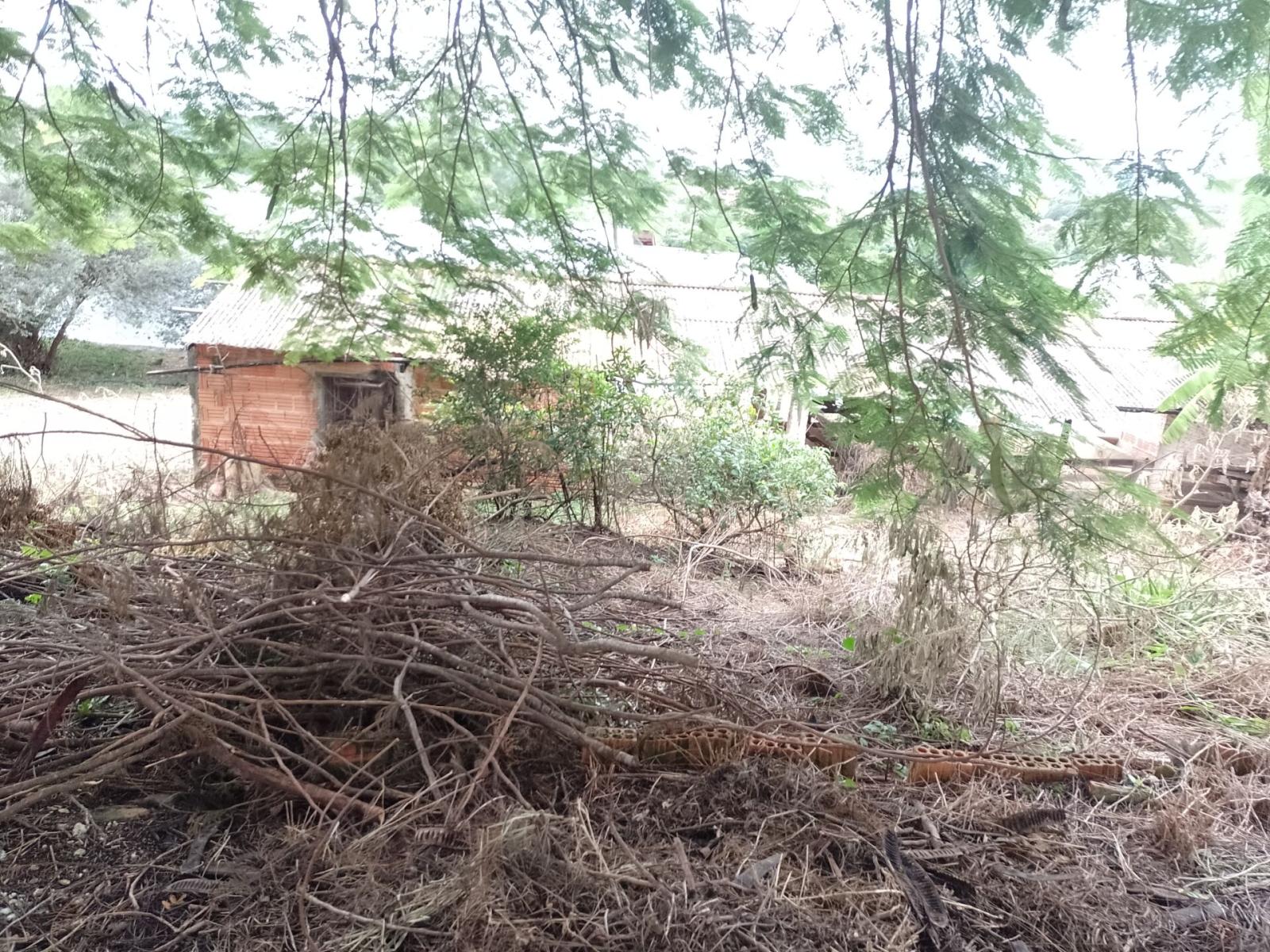 Fazenda à venda com 3 quartos, 2760m² - Foto 9