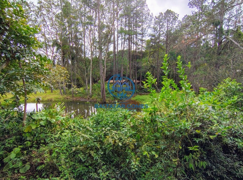 Sítio à venda com 3 quartos, 20000m² - Foto 11