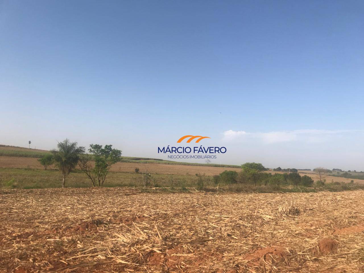 Fazenda, 182 hectares - Foto 2