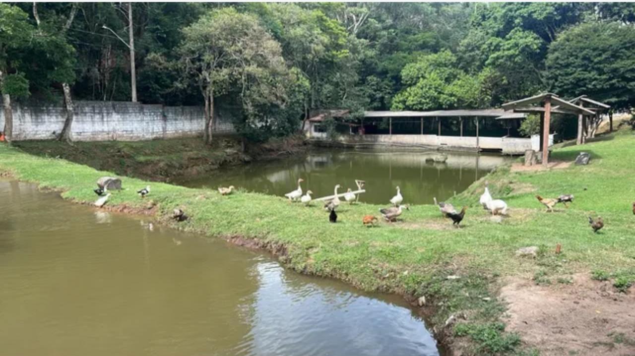 Chácara à venda, 3000m² - Foto 3