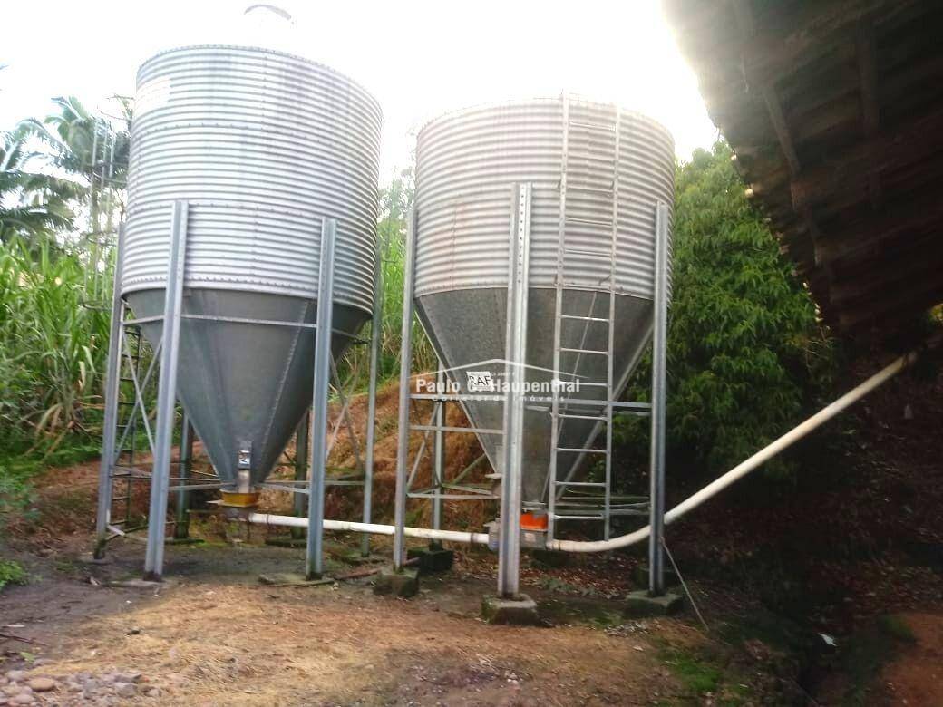 Sítio à venda com 4 quartos, 15000M2 - Foto 9
