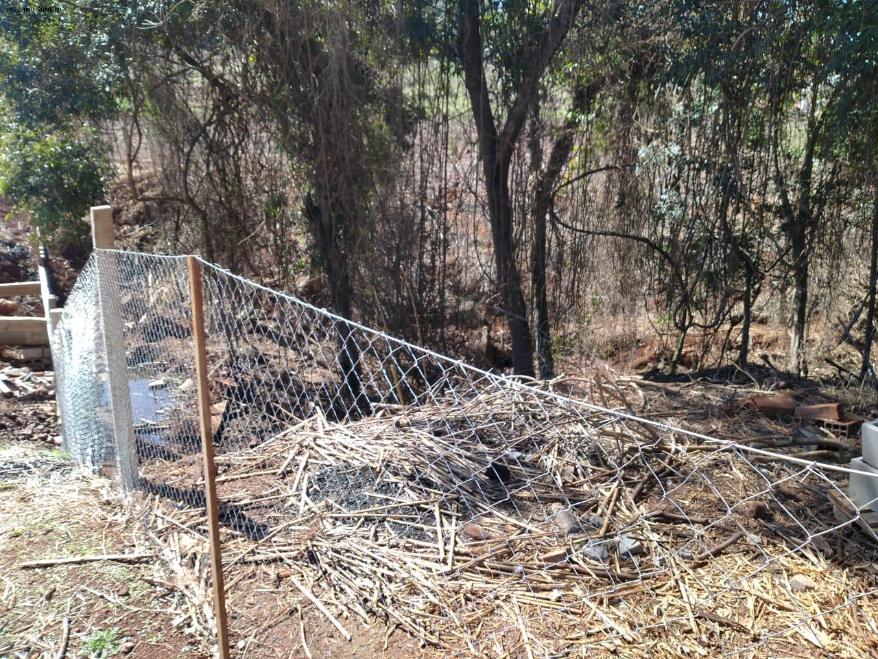 Fazenda para alugar com 3 quartos, 20000m² - Foto 10