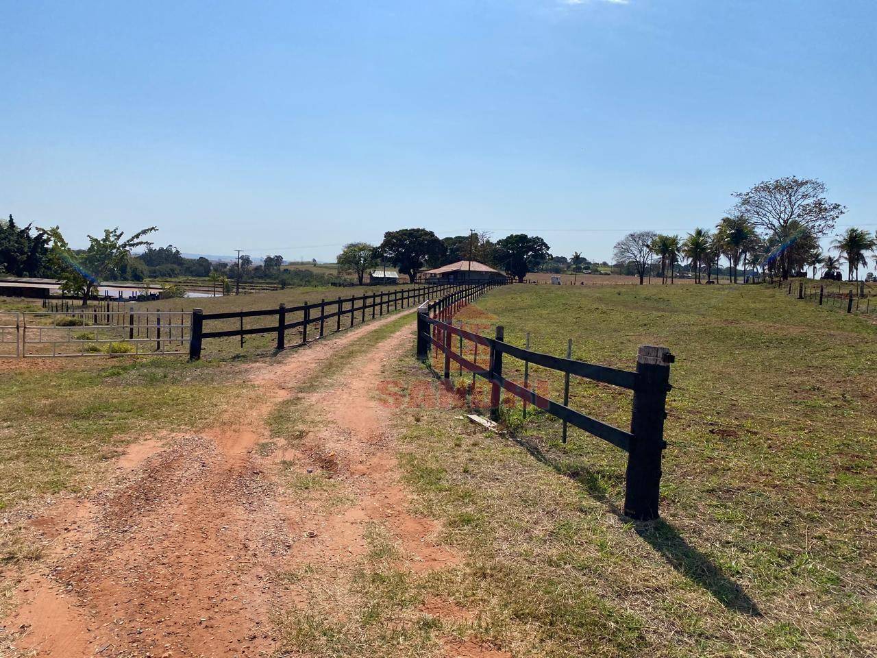 Sítio, 2 hectares - Foto 36