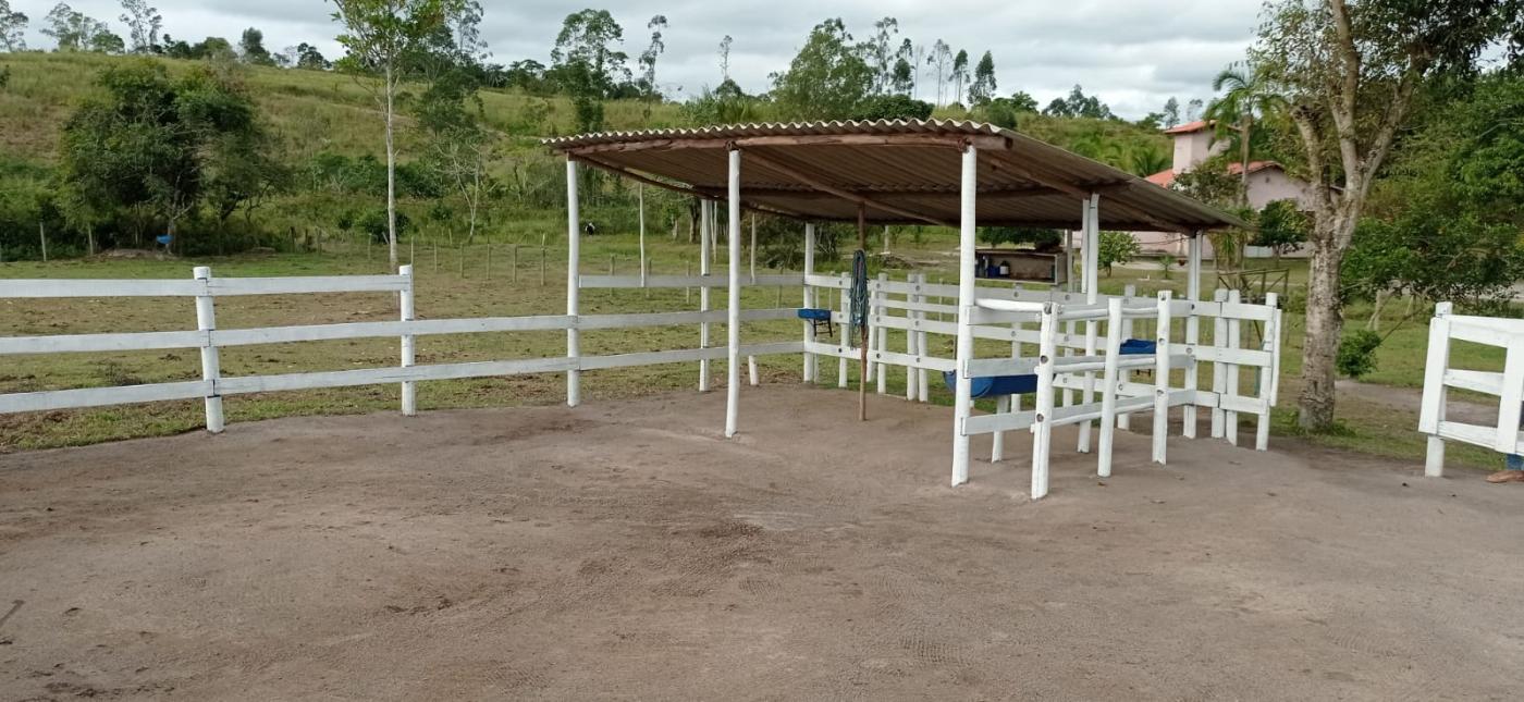 Fazenda à venda com 3 quartos, 80000m² - Foto 11