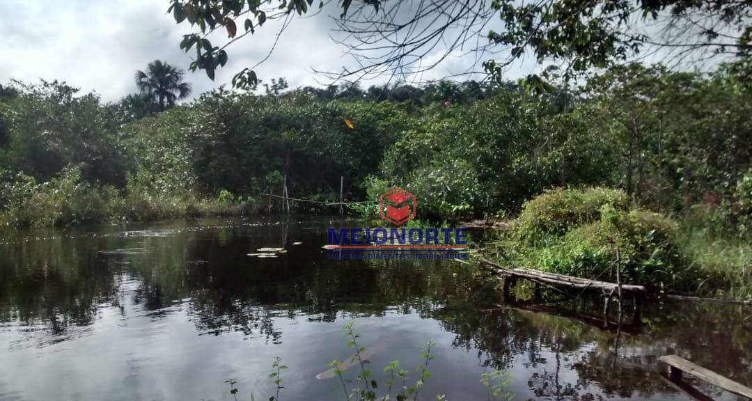 Fazenda à venda com 1 quarto, 2400000M2 - Foto 4