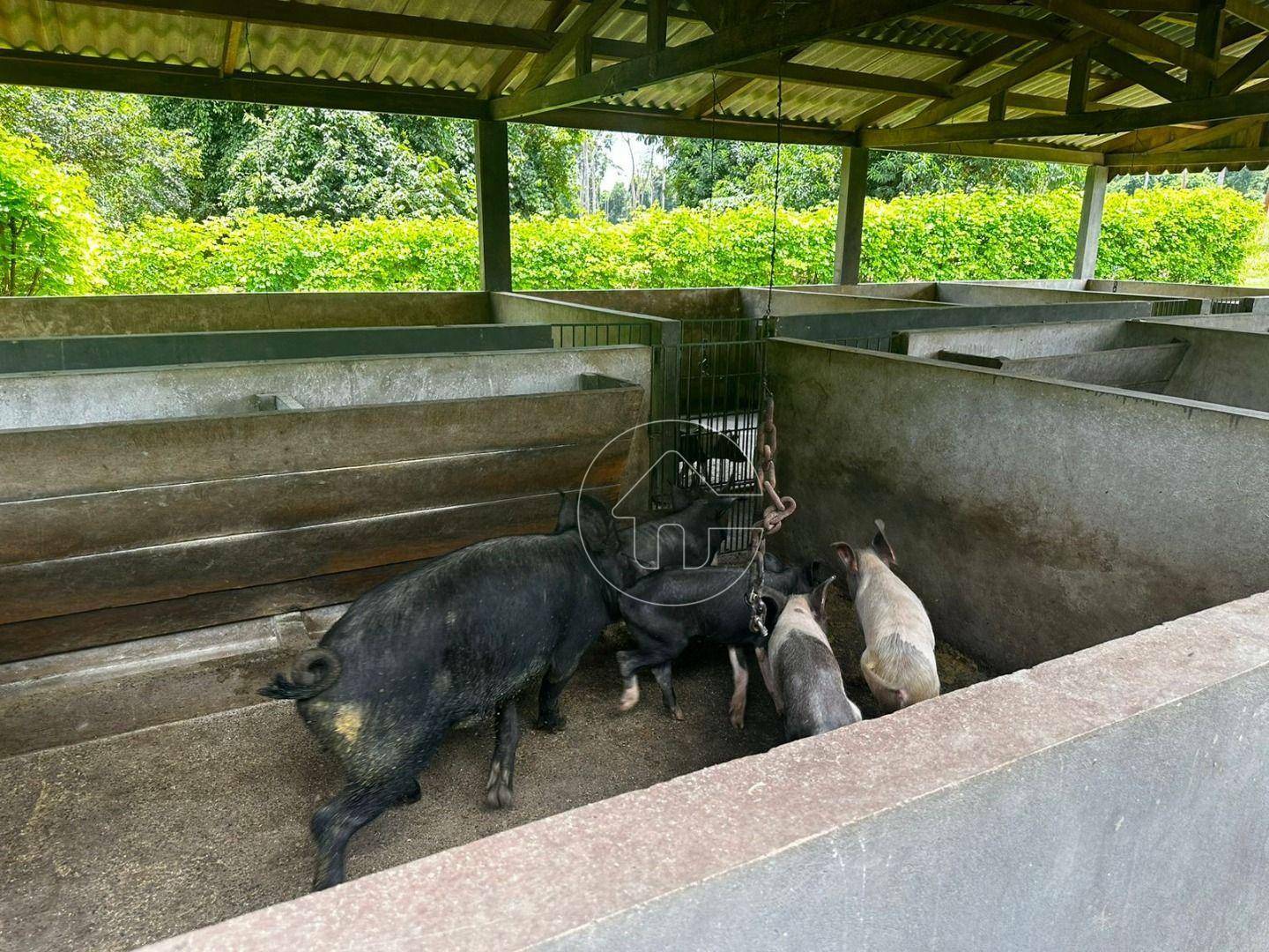 Fazenda à venda, 64000000M2 - Foto 14