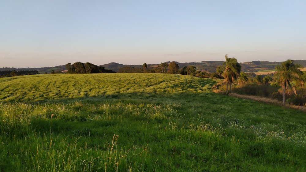 Fazenda à venda, 60m² - Foto 1