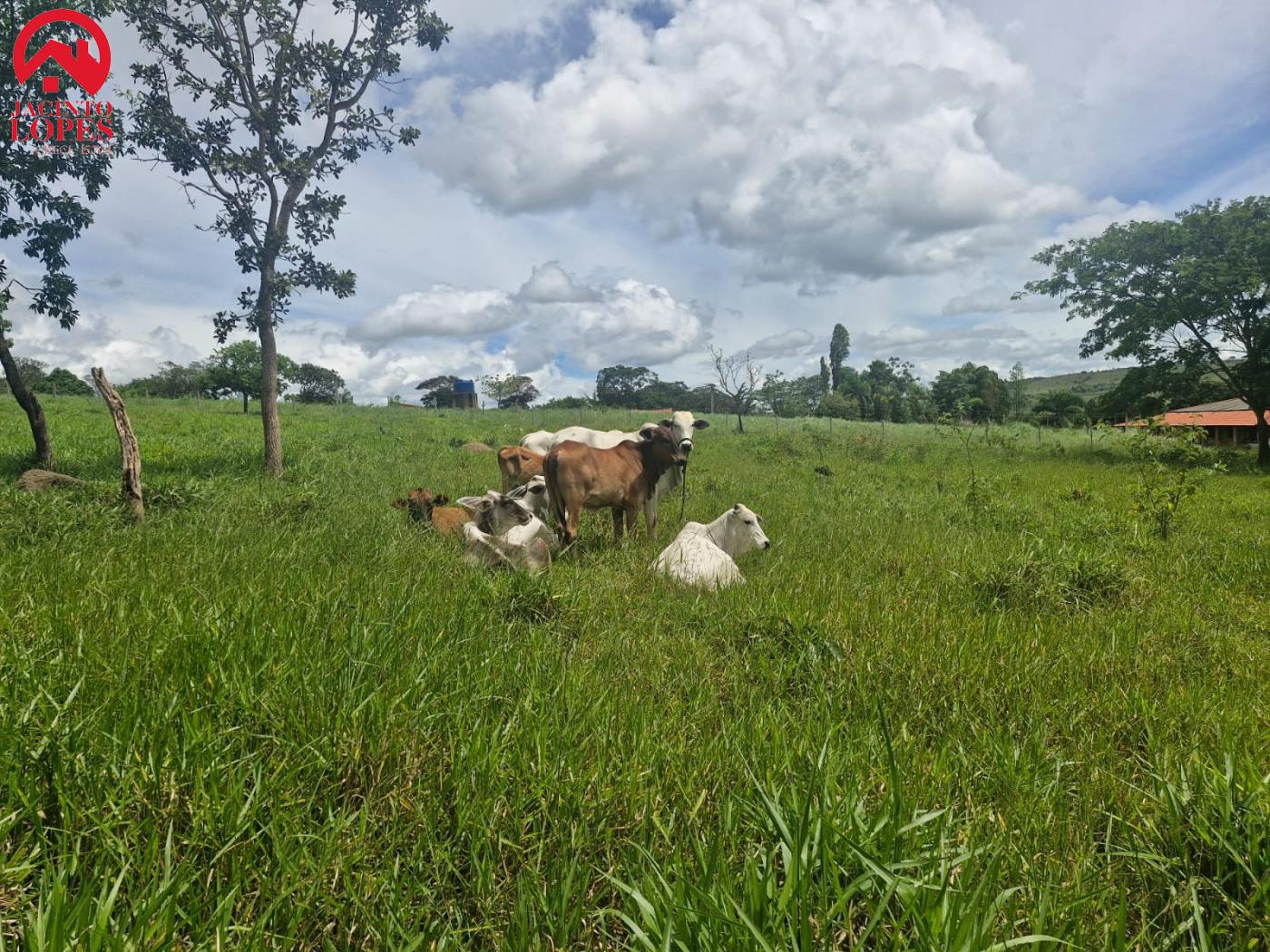 Fazenda à venda com 2 quartos, 120m² - Foto 45