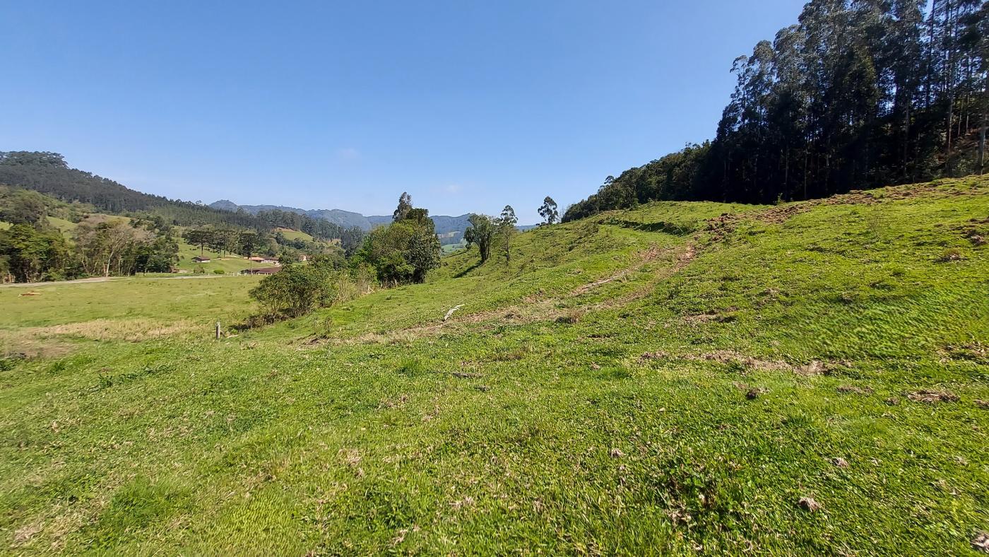 Fazenda à venda com 4 quartos, 101500m² - Foto 28