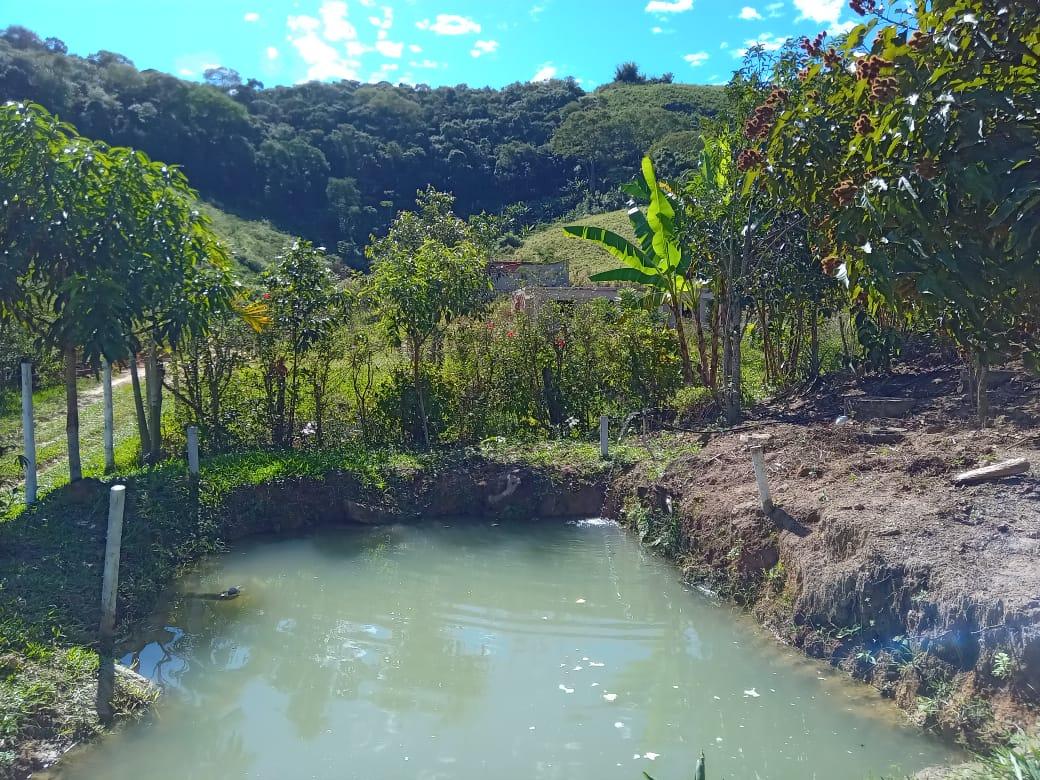 Fazenda à venda com 1 quarto, 1200m² - Foto 20