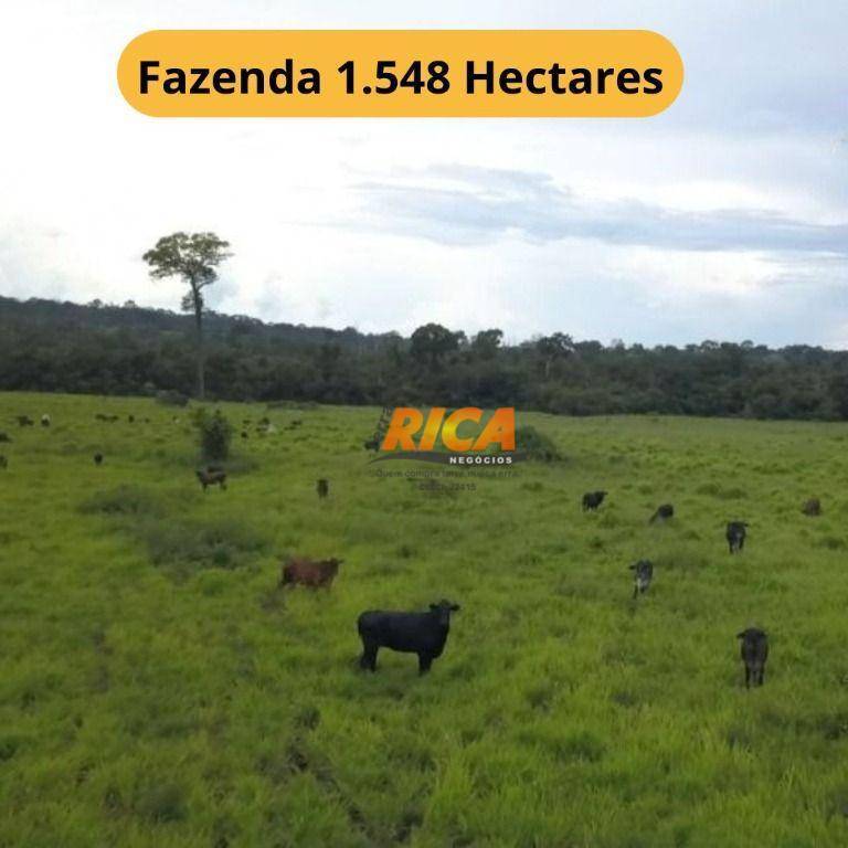 Fazenda-Sítio-Chácara, 1548 hectares - Foto 1