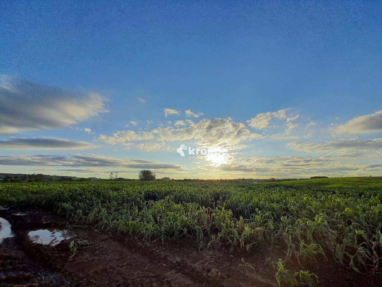 Terreno à venda, 100000M2 - Foto 4