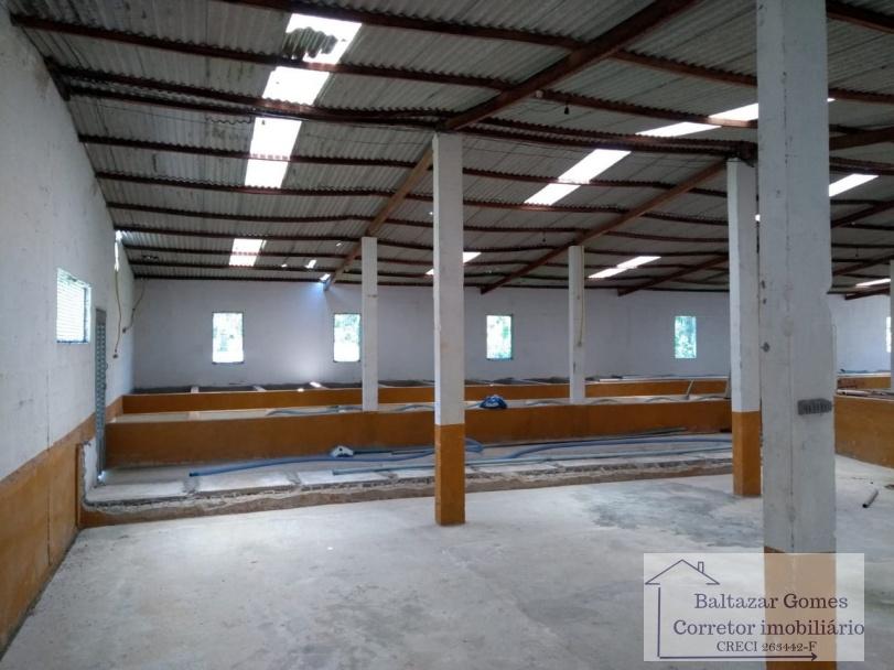 Fazenda à venda com 3 quartos, 150000m² - Foto 12