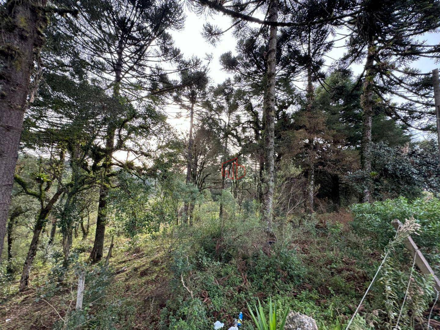 Terreno à venda, 4825M2 - Foto 9