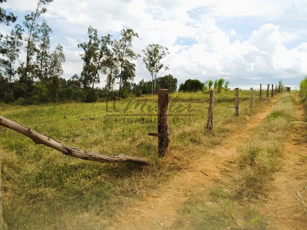 Fazenda à venda, 3m² - Foto 5