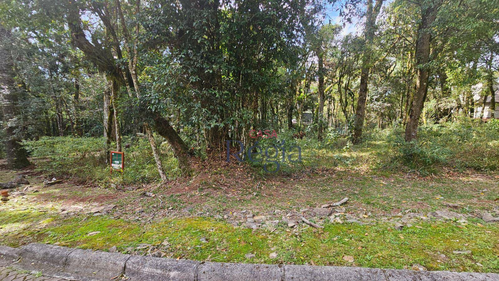 Loteamento e Condomínio à venda, 646M2 - Foto 3