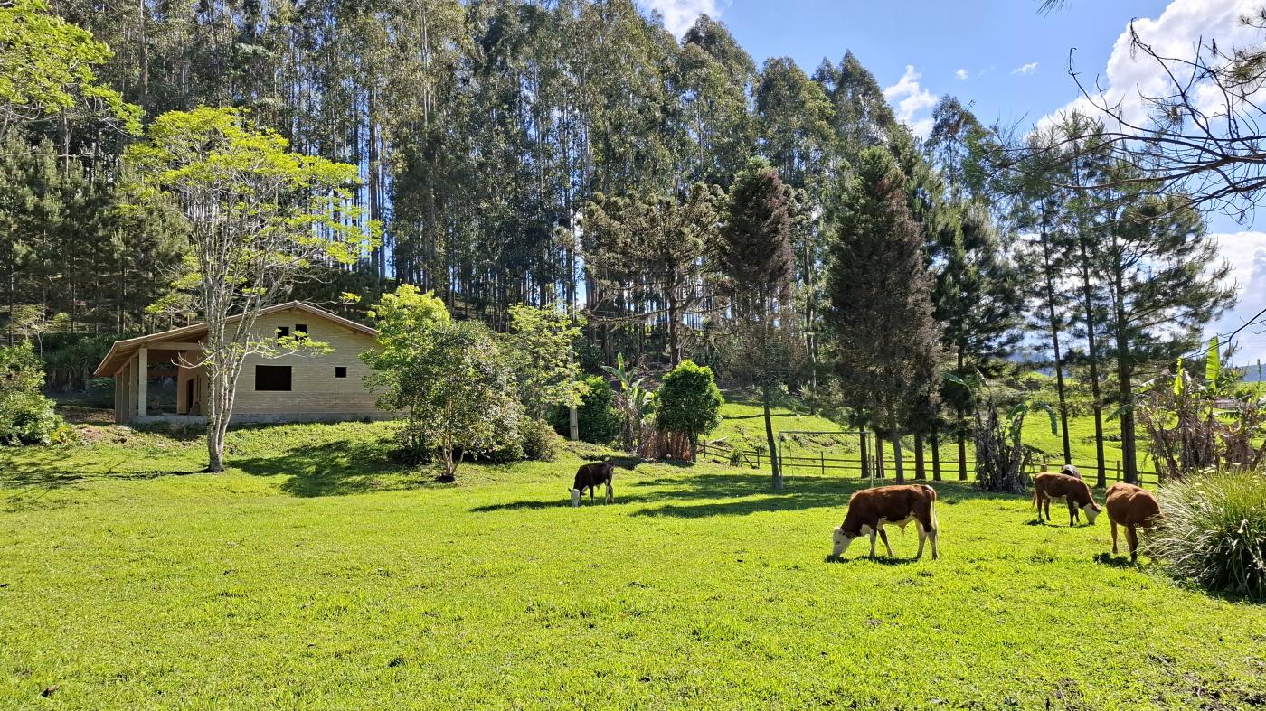 Fazenda à venda com 2 quartos, 8000m² - Foto 1