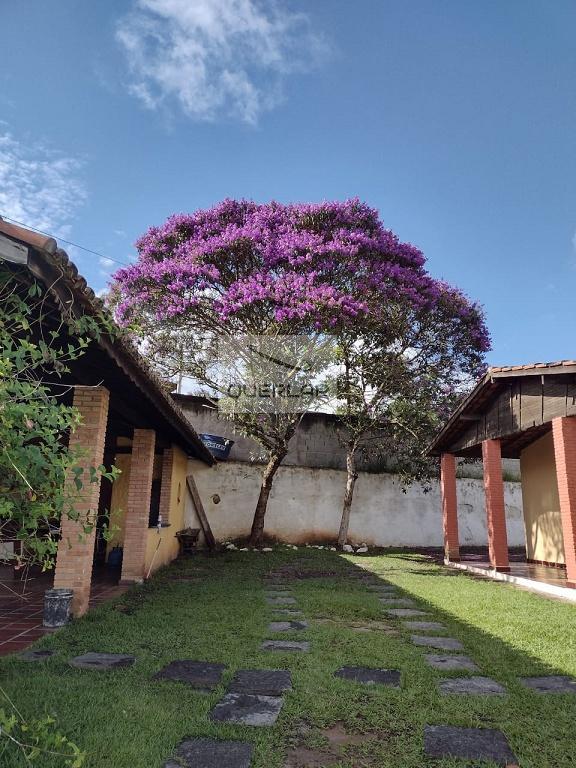 Fazenda à venda com 4 quartos, 4300m² - Foto 16