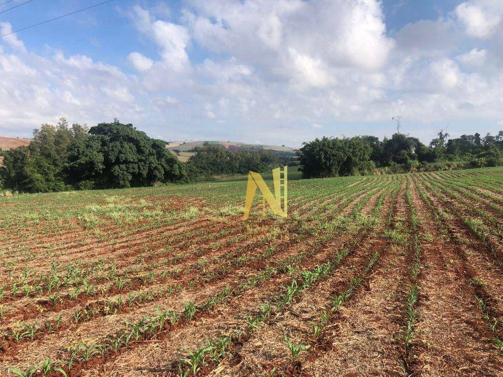 Terreno à venda, 532400M2 - Foto 8