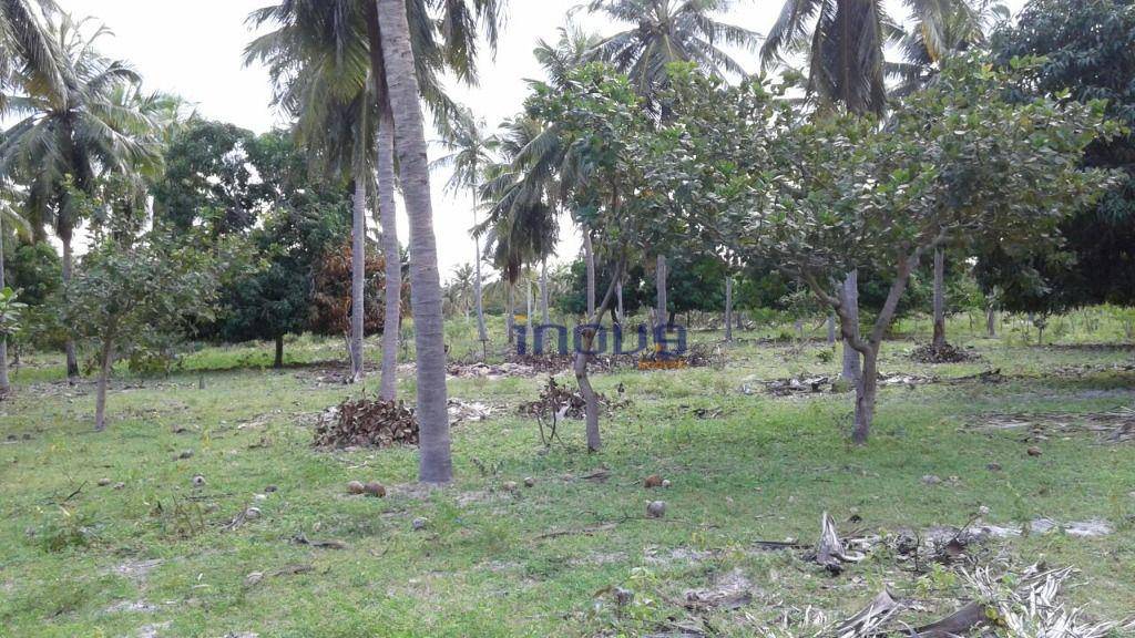 Terreno, 24 m² - Foto 11