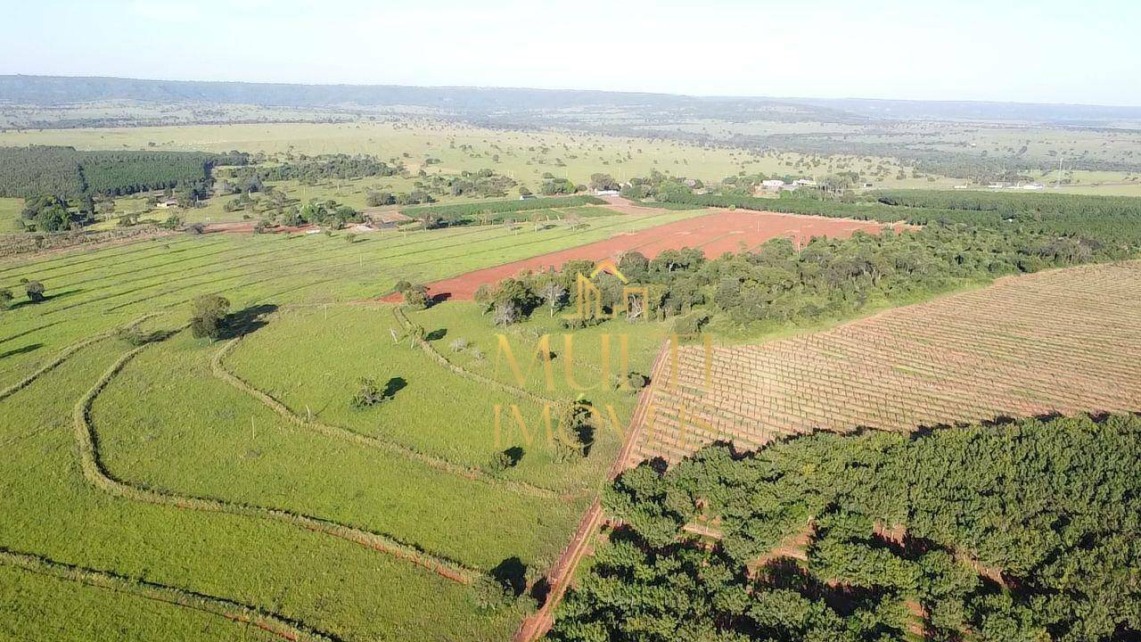 Fazenda à venda com 2 quartos, 6460000M2 - Foto 3