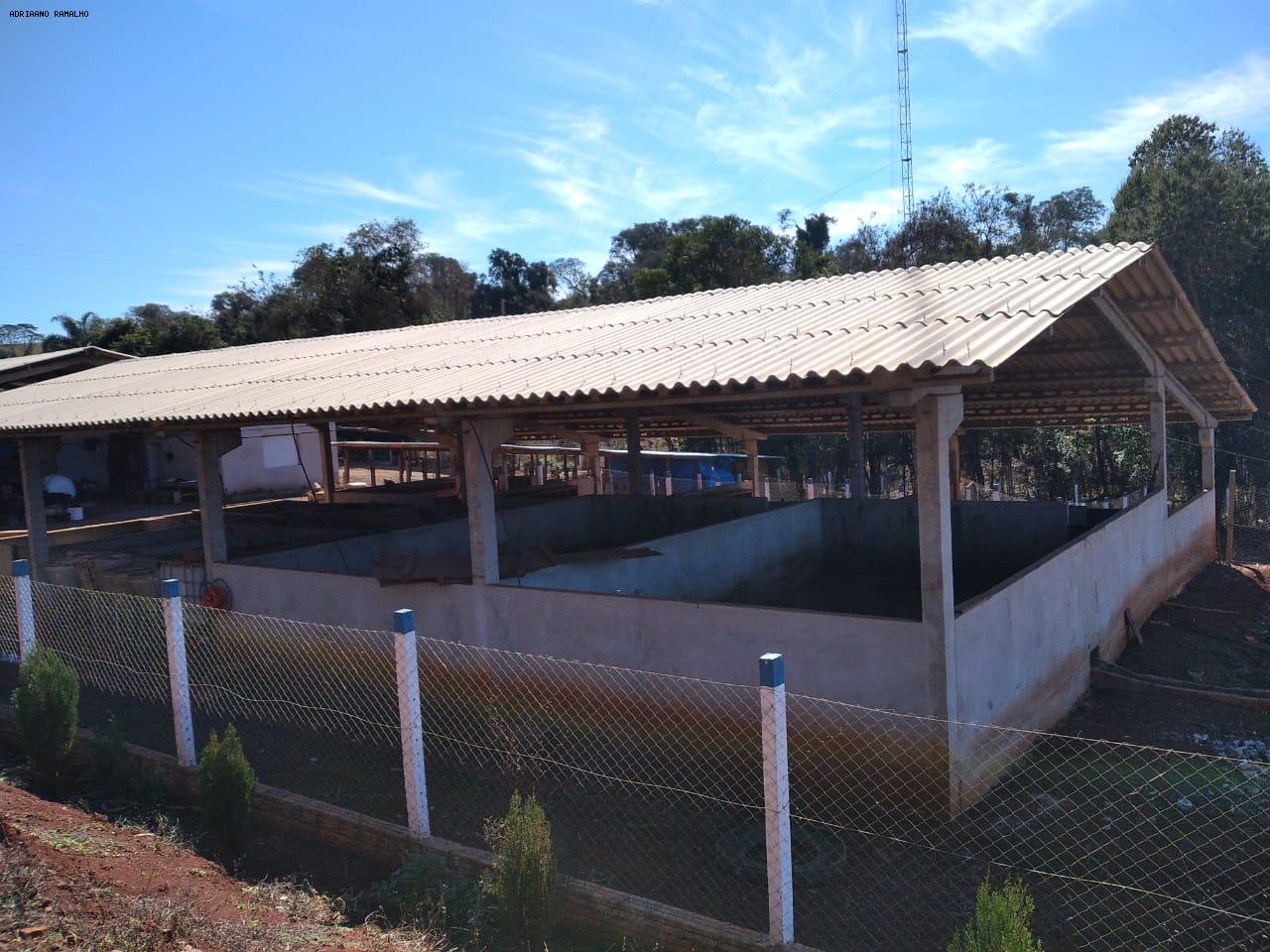 Fazenda para alugar com 3 quartos, 20000m² - Foto 25