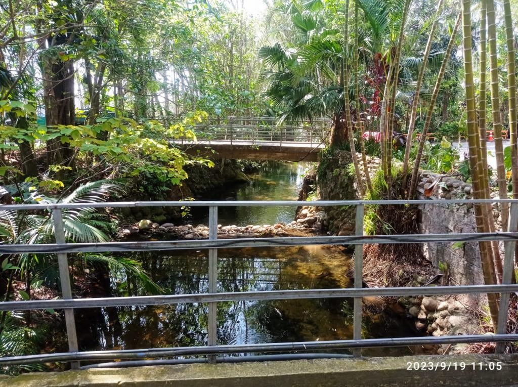 Terreno, 6841 m² - Foto 5