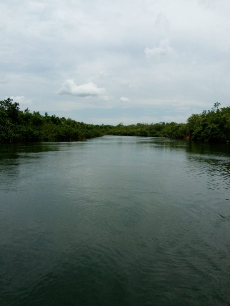 Fazenda-Sítio-Chácara, 685 hectares - Foto 1