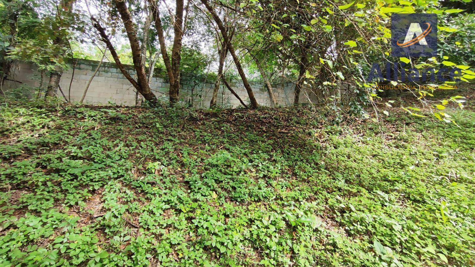 Terreno à venda, 1000M2 - Foto 8