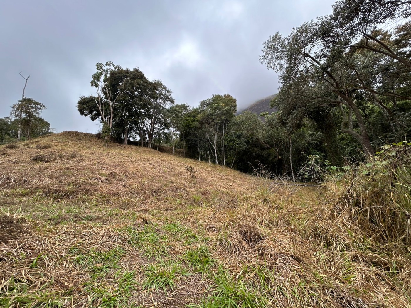 Terreno à venda, 178000m² - Foto 11
