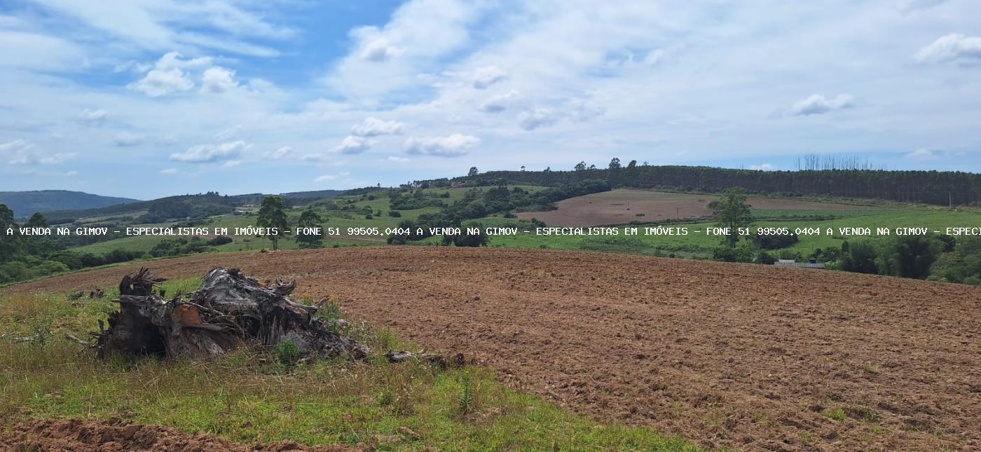 Fazenda à venda com 3 quartos, 2m² - Foto 22