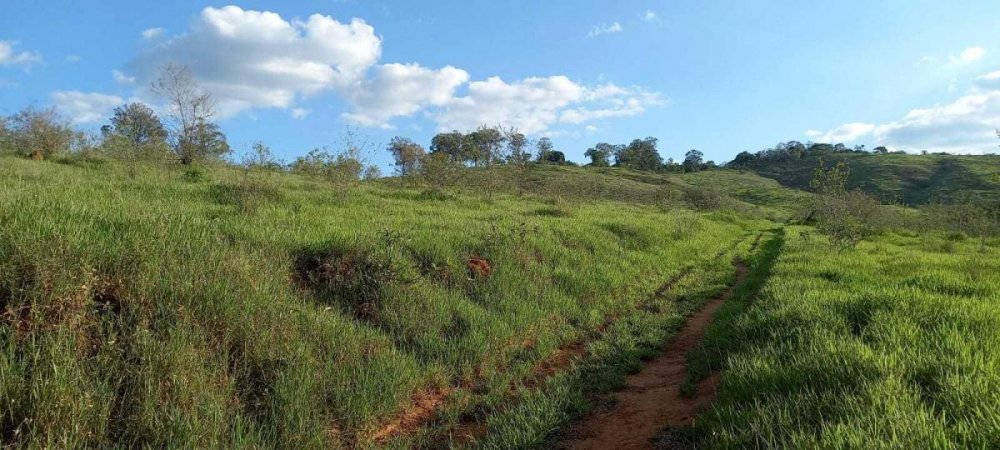 Fazenda à venda, 100m² - Foto 4