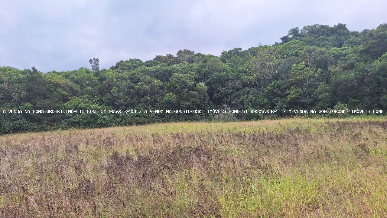 Loteamento e Condomínio à venda, 7250m² - Foto 2