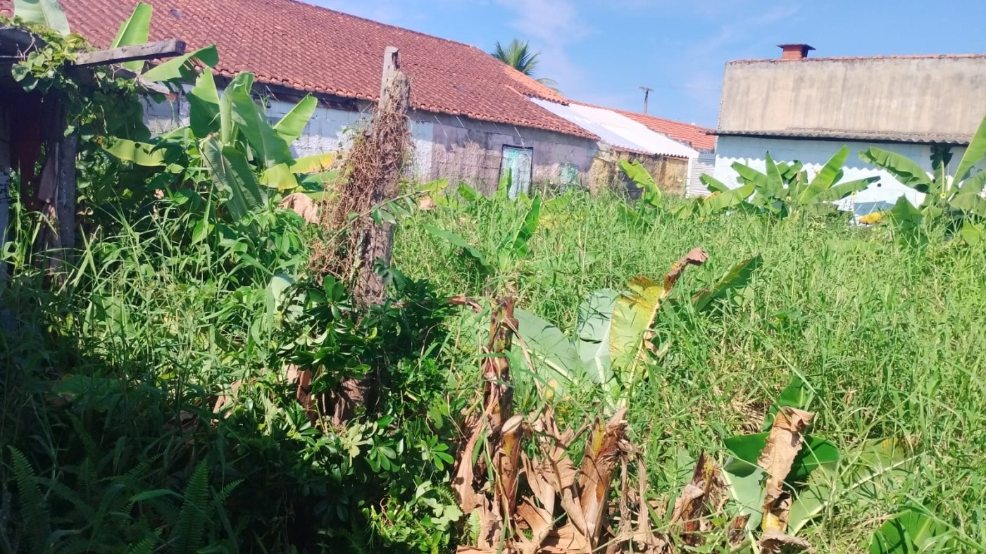 Terreno à venda, 240m² - Foto 4